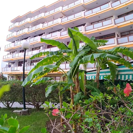 Australia Apartment *