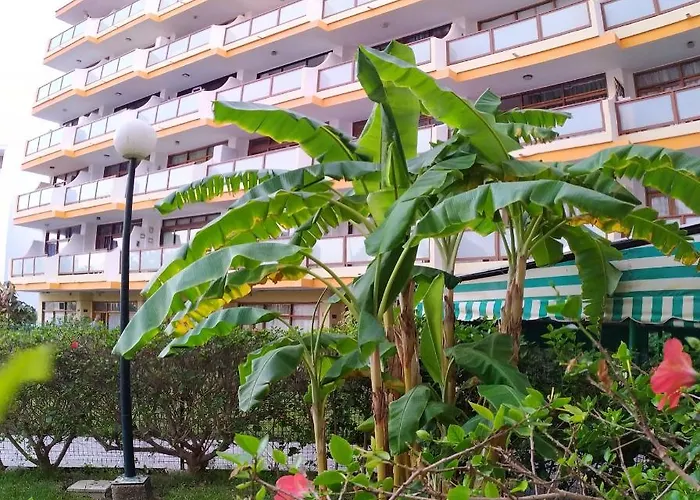 Australia Lägenhet *